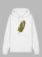 Cactus Ice Organic Cotton Hoodie Miami